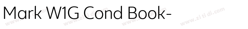 Mark W1G Cond Book字体转换